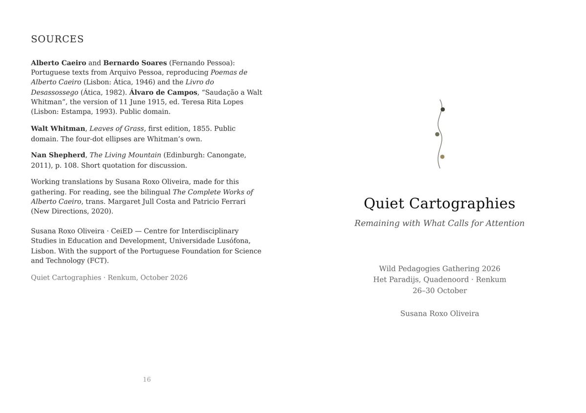 Quiet Cartographies: Remaining with What Calls for Attention