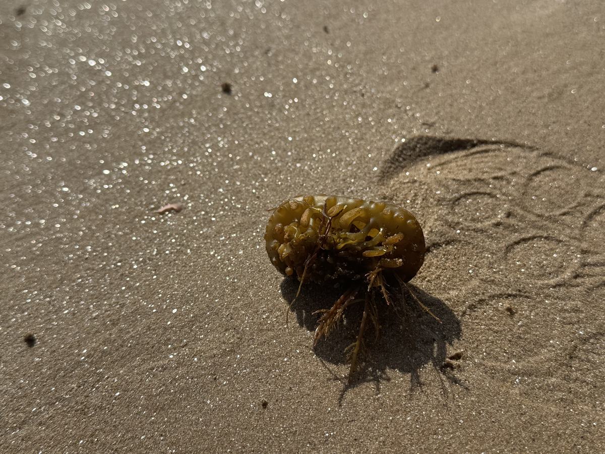 Photograph by Susana Roxo Oliveira